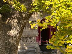 -北京石刻艺术博物馆(五塔寺)