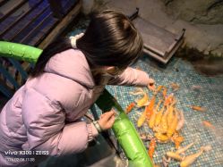 点击看大图 -酷嗒动物文化乐园(cutezoo西溪乐天城店)