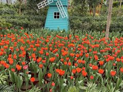 -南宫五洲植物乐园