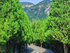 -禅宗少林·音乐大典