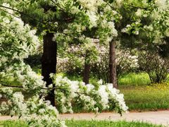 -国家植物园南园