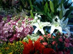 59847540_333106020_rotate-上海波特曼丽思卡尔顿酒店