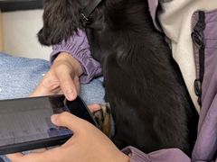 -宠颐生猫科·内科皮肤科(西平世纪城店)