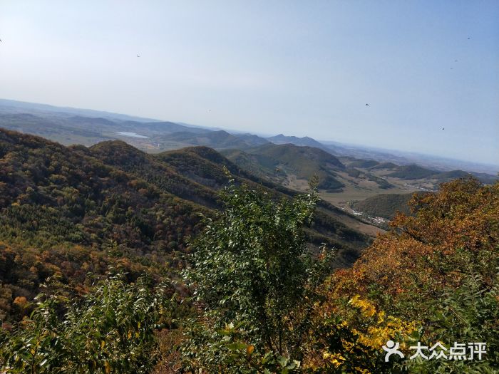 吊水壶国家森林公园图片