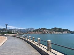 -单家老院·院子里的青岛菜(沙子口店)