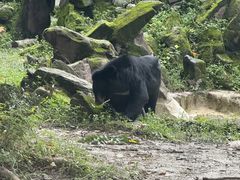 -成都动物园