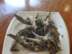 -胖大嫂渔家排档·全海景餐厅(渔村店)