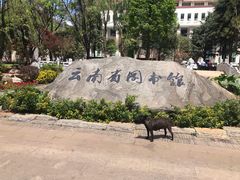 -云南省图书馆