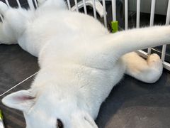 -萌兽医馆·眼科·异宠专科(三里屯店)