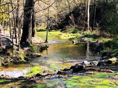 -玉渡山自然风景区
