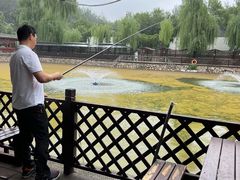 -尚庄度假村·庭台树下·户外烧烤·团建CS·轰趴营地(上庄水库店)