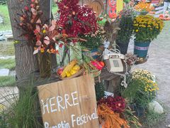 -HERRE·FARM 赫尔露营农场·团建聚会包场