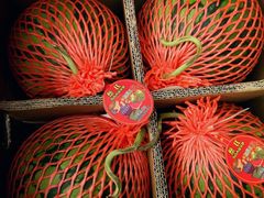 -西郊国际农产品交易中心