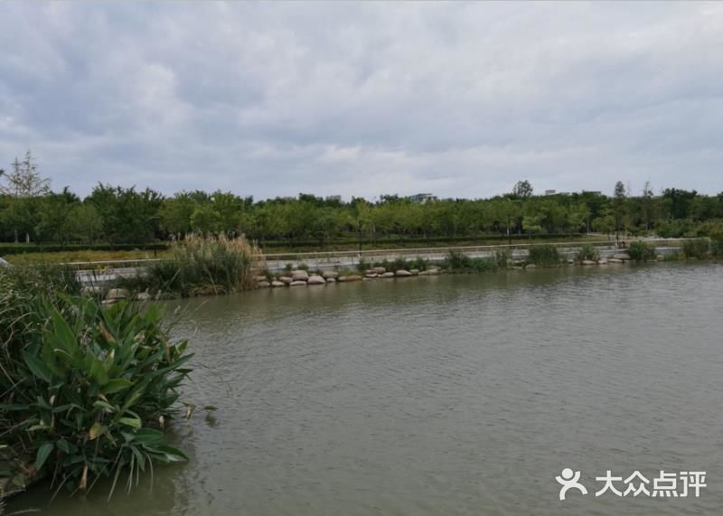 南京旅游攻略，九龙湖公园，小众打卡地