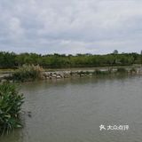 南京旅游攻略，九龙湖公园，小众打卡地