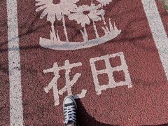 -西京湾花海