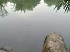 -玉龙寨旅游景区