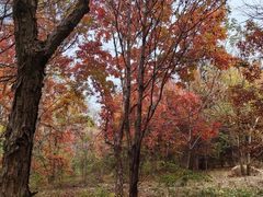 -长春世界雕塑园冰雪艺术天地