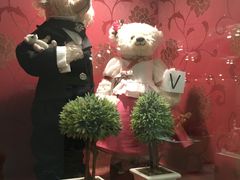 济州岛泰迪熊博物馆-济州岛泰迪熊博物馆