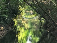 -同里国家湿地公园