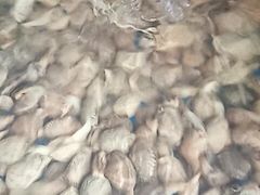 -晓伟海鲜家常菜