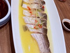 清蒸鲜白鱼-锡和无锡菜(景丽苑店)