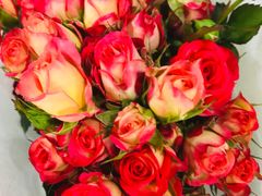 -循礼门鲜花花市(武汉循礼门店)