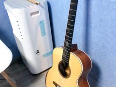 -大象音乐·吉他·架子鼓·声乐(双井店)