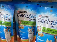 -瑞派紫金宠物医院24小时·骨科·中兽医·重症转诊中心(番禺大石院)