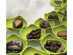 -海玥荟海鲜姿造自助餐厅(欧罗巴广场店)