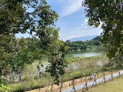 -福建鲤鱼洲酒店