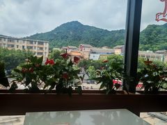 -粤点越有·茶点·粤菜(樵岭国际店)