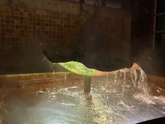 -春晖园度假酒店温泉