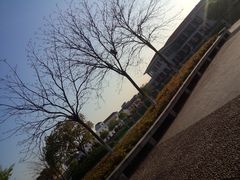 IMG20140404004-江南大学(蠡湖校区)
