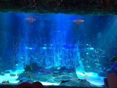 -沈阳海洋探索中心