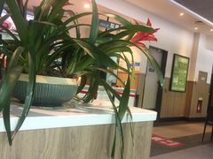 -肯德基(槐苑店)