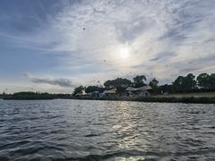 -春花秋色城市公园