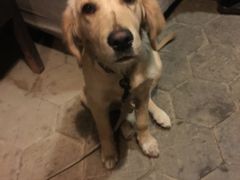 -浔岚云舍mist静谧观景美宿(丽江古城店)