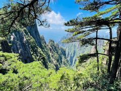 -黄山风景区