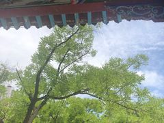 -文瀛公园