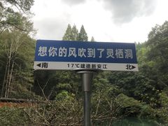 -灵栖洞天