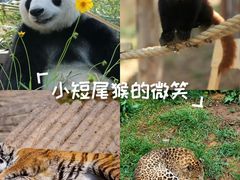 -大连森林动物园