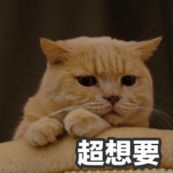 -HQ半永久纹绣纹眉