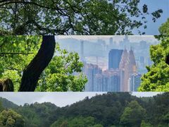 -南山植物园