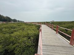 -北海金海湾红树林生态旅游区