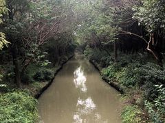 -同里国家湿地公园