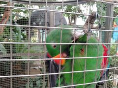 -大连森林动物园