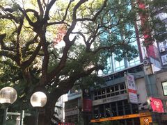 -九龙公园