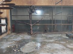 -石家庄市动物园