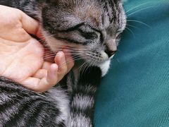 -坊间咖啡馆(贝岗店)